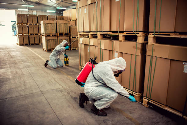 Best Pest Prevention Services  in Keewatin, MN