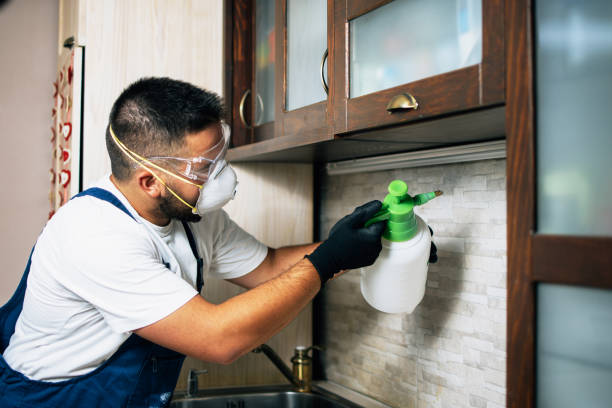 Best Bed Bug Extermination  in Keewatin, MN