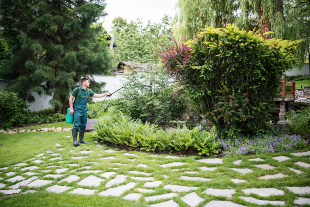 Best Emergency Pest Control  in Keewatin, MN