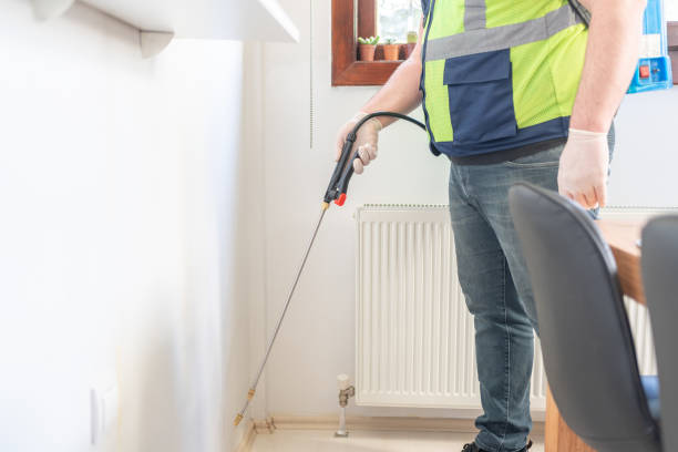 Best Pest Removal Services  in Keewatin, MN