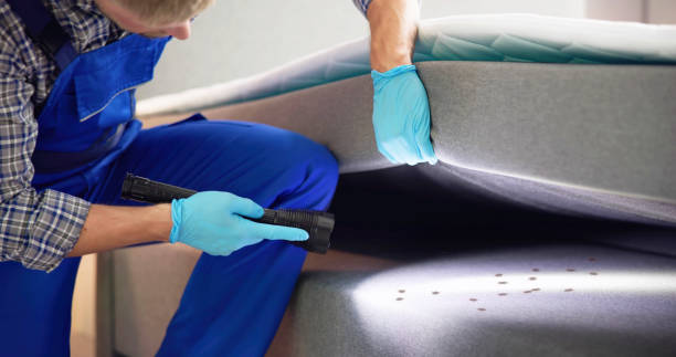 Best Local Pest Control Services  in Keewatin, MN