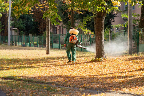 Best Bird Control  in Keewatin, MN