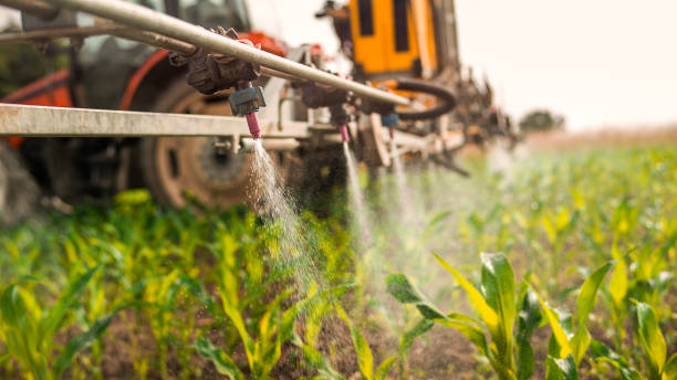 Best Commercial Pest Control Services  in Keewatin, MN